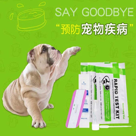 犬瘟熱病毒抗體(CDV Ab）快速檢測卡