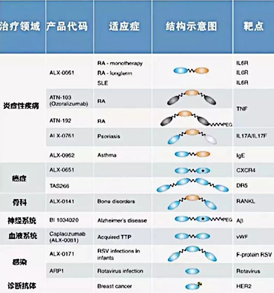 行研 | 納米抗體 – 抗體界的“百變星君”，如何突破抗體藥的激烈重圍？-肽度TIMEDOO